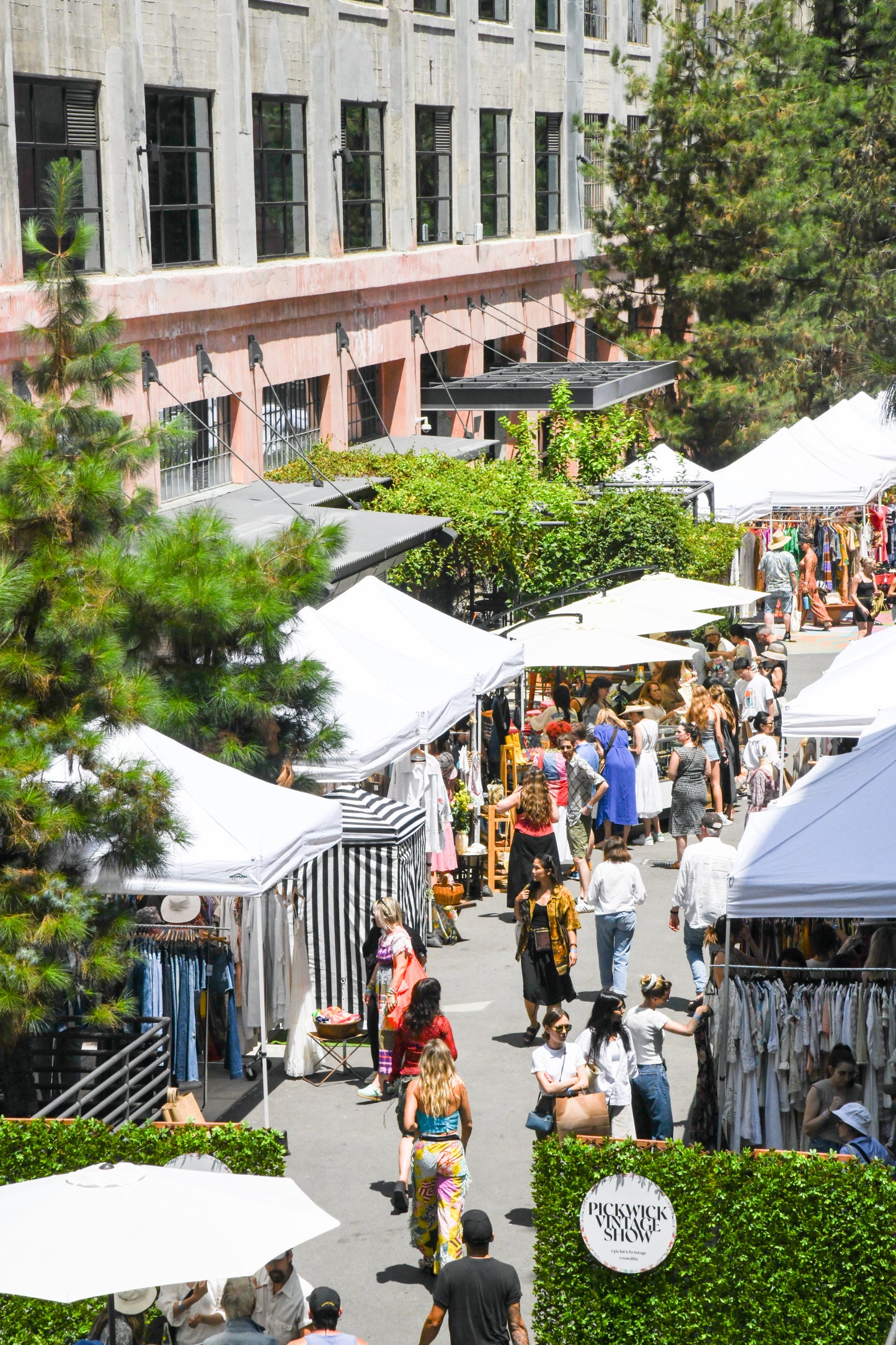 Pickwick Vintage Show